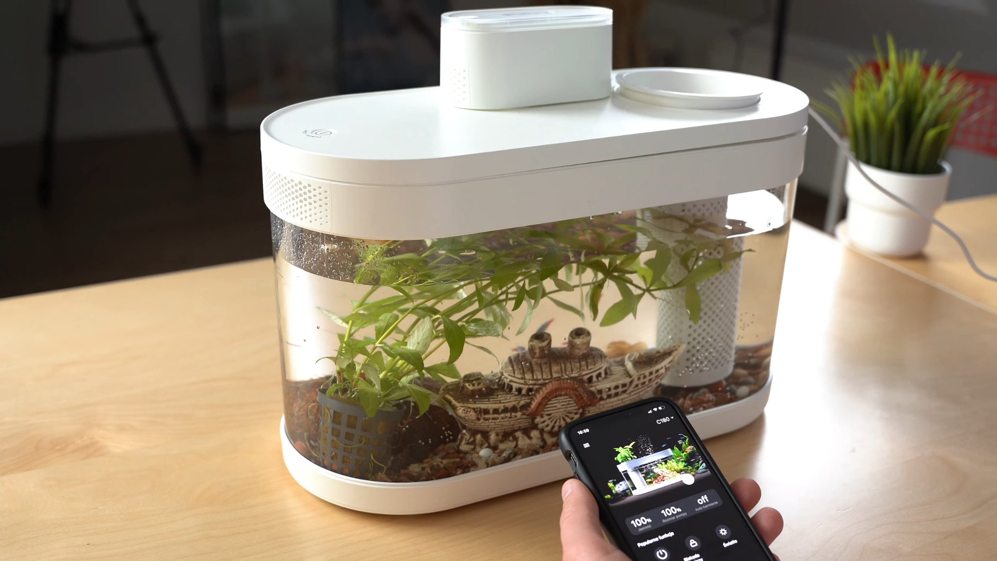 DESGEO Ecological Lazy Fish Tank Pro