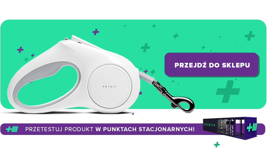 jaka smycz dla psa