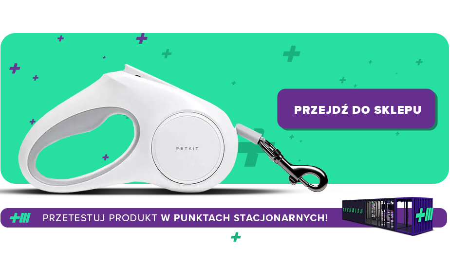 jak nauczyć psa chodzenia na smyczy